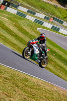 cadwell-no-limits-trackday;cadwell-park;cadwell-park-photographs;cadwell-trackday-photographs;enduro-digital-images;event-digital-images;eventdigitalimages;no-limits-trackdays;peter-wileman-photography;racing-digital-images;trackday-digital-images;trackday-photos